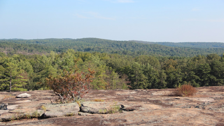 Stonecrest, GA in DeKalb County